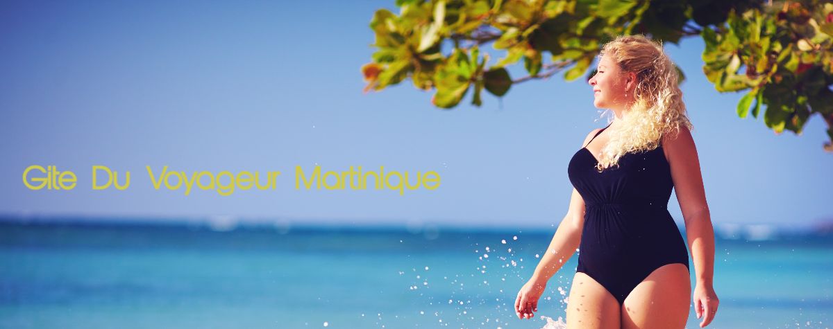 giteduvoyageur-martinique.us-mag.club